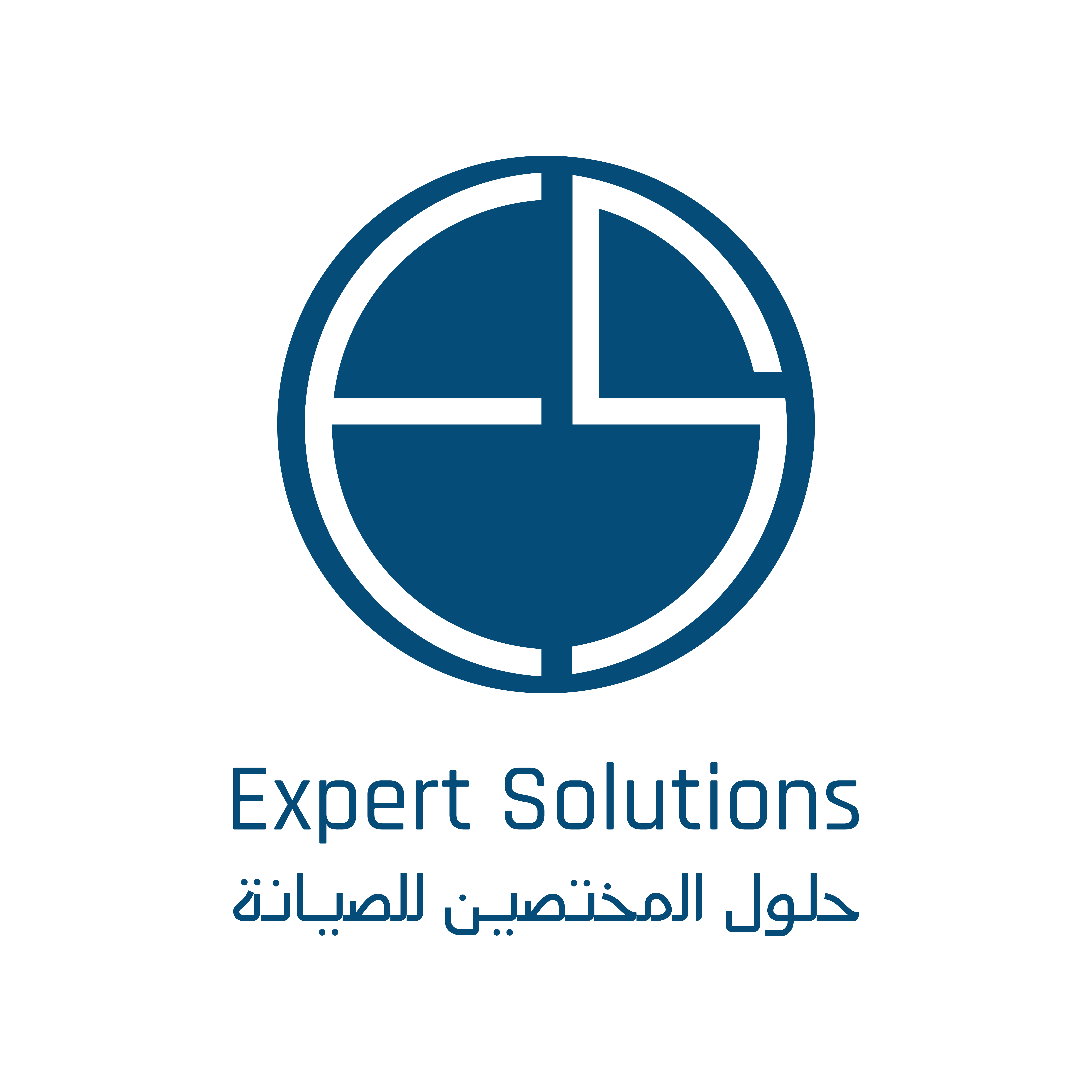 Expert Solutions Logo